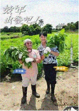 奔跑吧12 综艺封面
